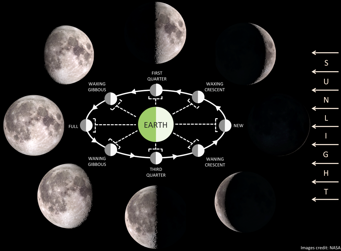 A diagram shows images of the phases of the Moon along with the corresponding positions of the Sun, Earth, and Moon