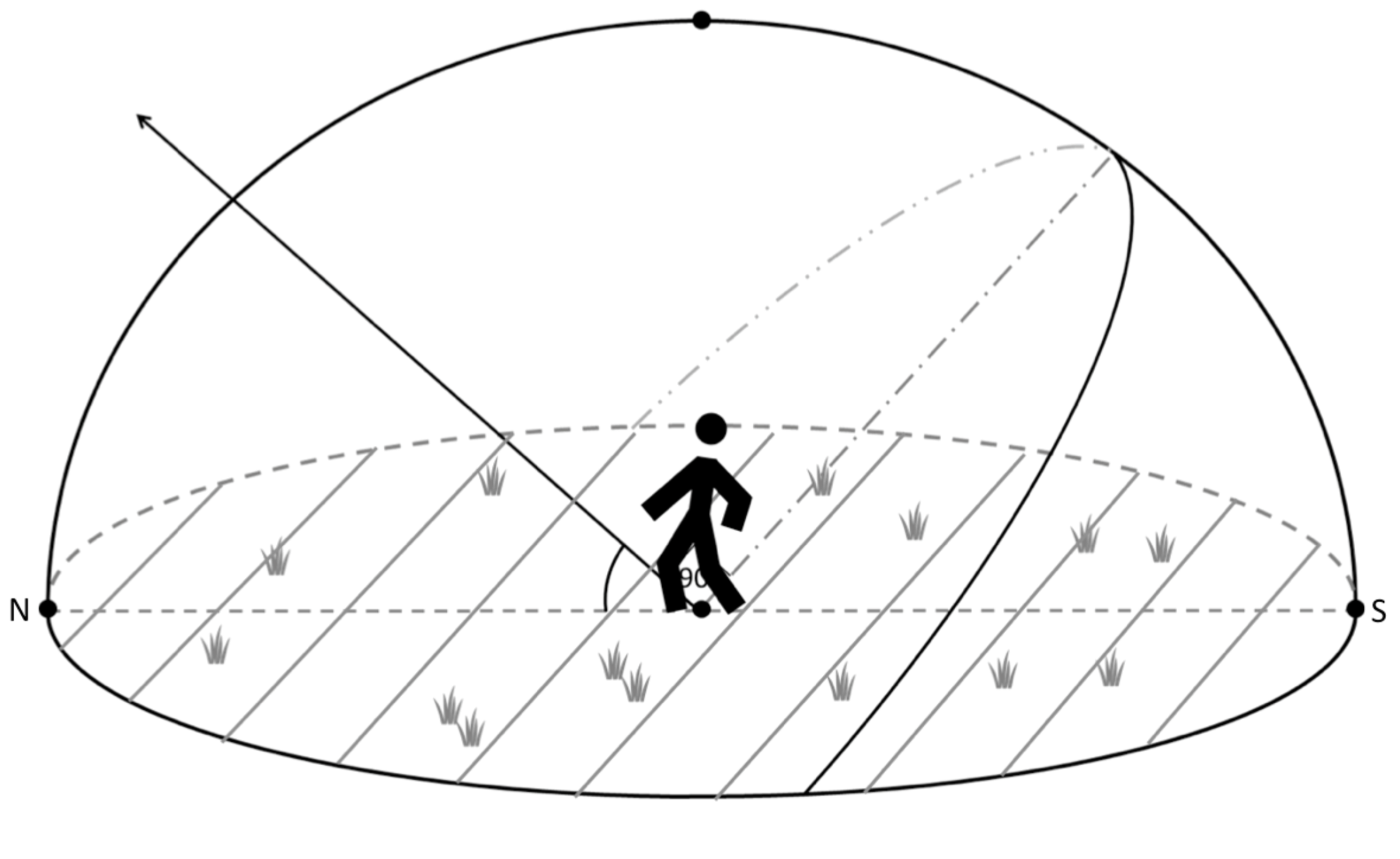 A stick figure observer stands under the dome of the night sky. Points and lines are drawn to be labeled. 