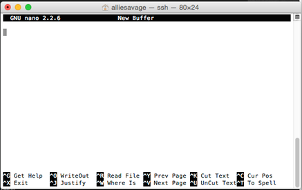 nano_med.png nano terminal view