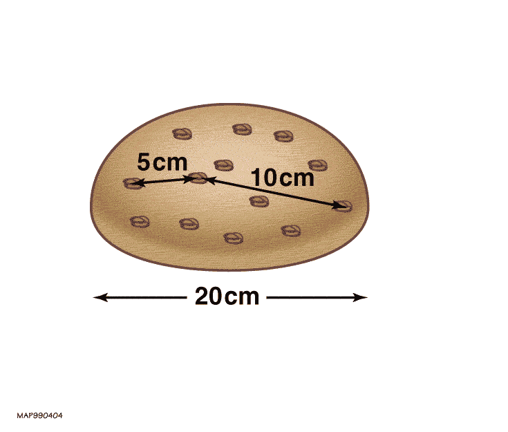 An animation of a wad of dough with raisins in it is shown. The raisins are close to one another because the ball of dough is small. The animation shows how, when the dough expands, each raisin moves away from each other raisin. 