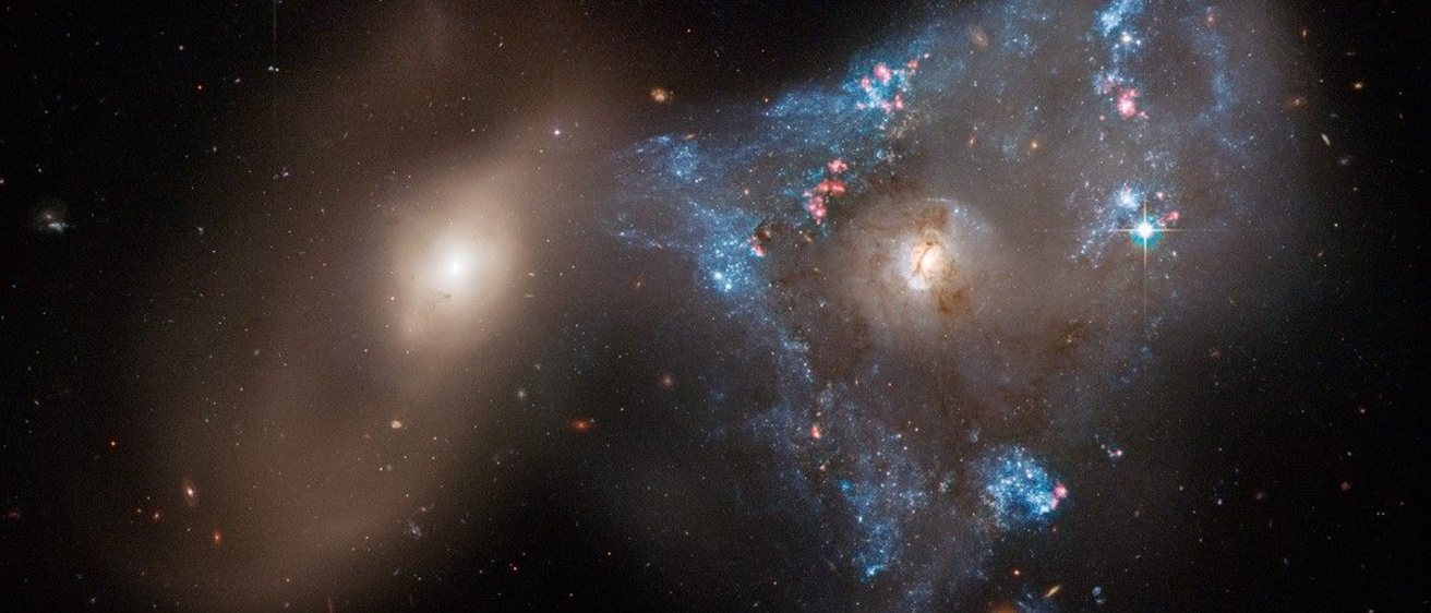 NGC 2444 and NGC 2445